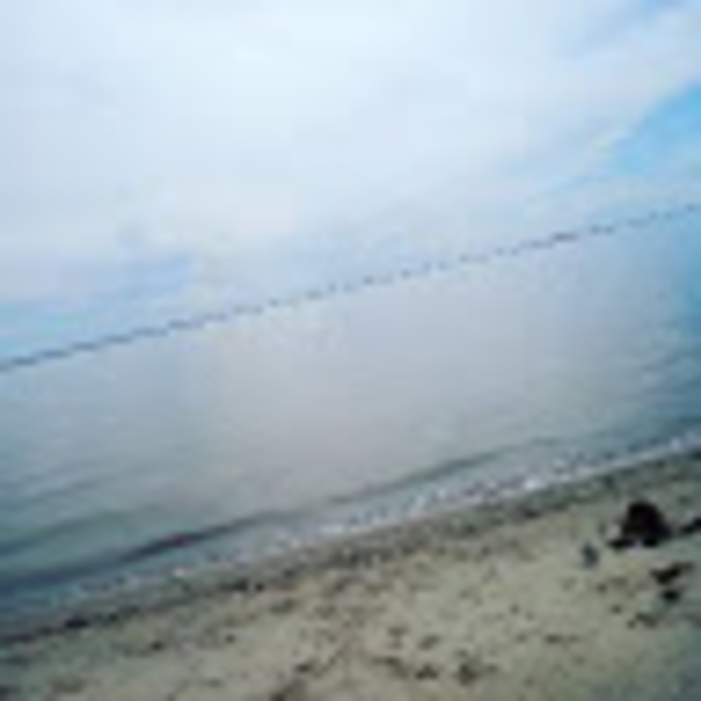 Meet your Posher, Paloma